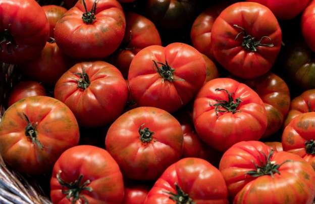 Red tomatoes