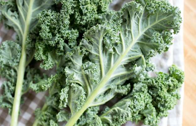 Green kale leaves