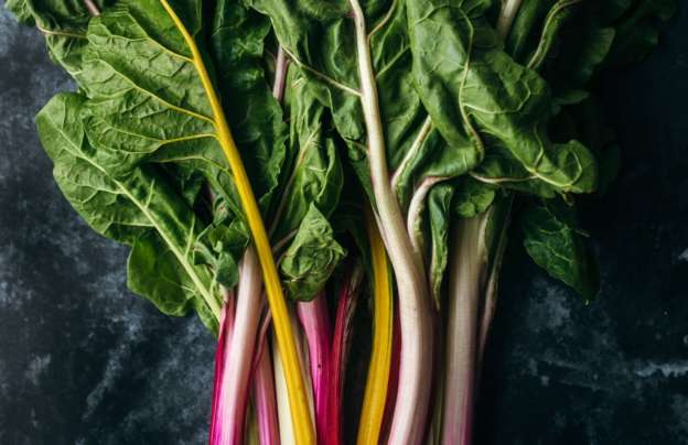 Rainbow chard