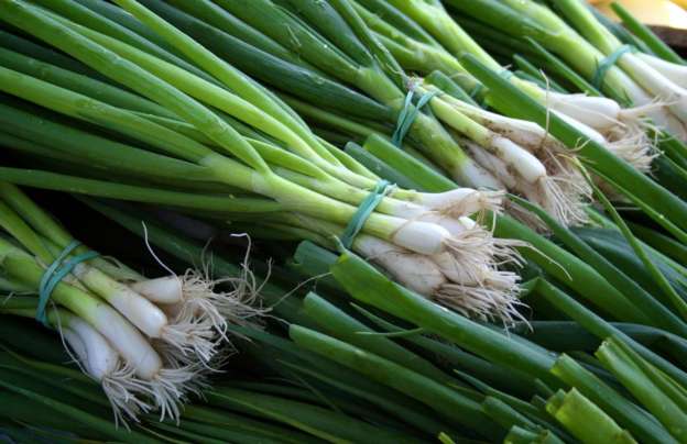 Bunches or green onions stacked