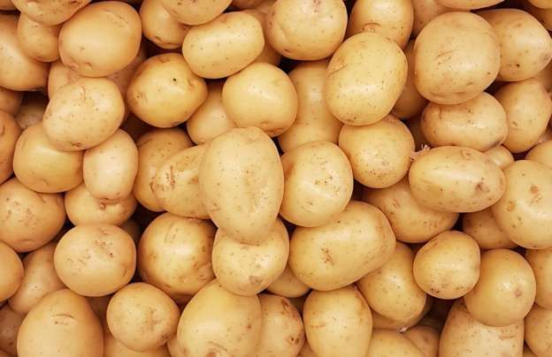 Gold yellow white potatoes